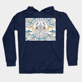 “Swan Kaleidoscope” Hoodie